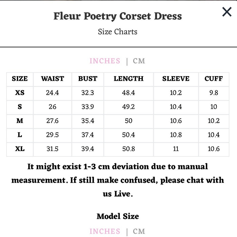 Fleur Poetry Corset Dress - Picture 4 of 5